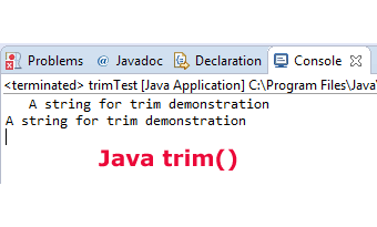 How to remove spaces by Java trim string method: 3